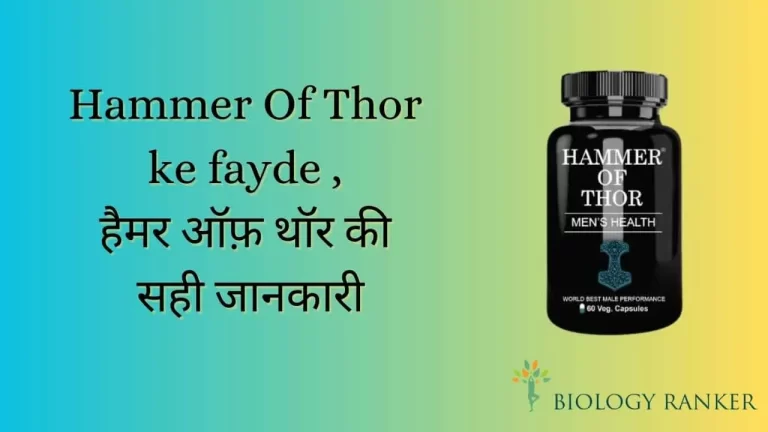 Hammer Of Thor ke fayde – पहले दिन से ही काम करता है हैमर ऑफ़ थोर।