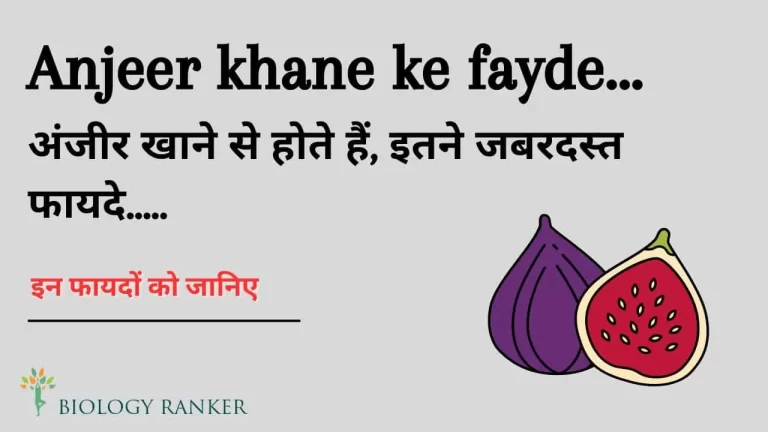 अंजीर खाने से होते हैं इतने जबरदस्त फायदे : Anjeer khane ke fayde