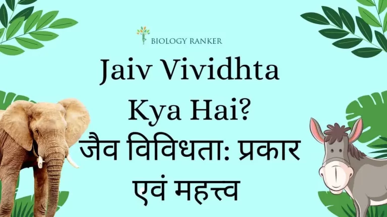 Jaiv Vividhta Kya Hai? | जैव विविधता किसे कहते हैं ? | प्रकार एवं महत्त्व