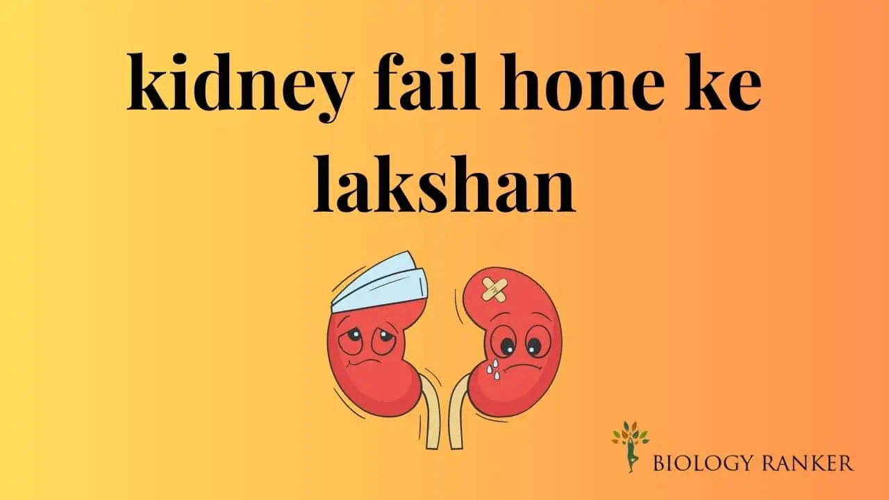 Kidney Fail Hone Ke Lakshan