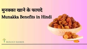 Munakka Benefits in Hindi