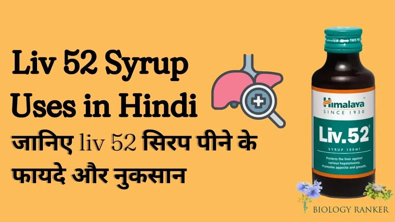 liv 52 syrup uses in hindi
