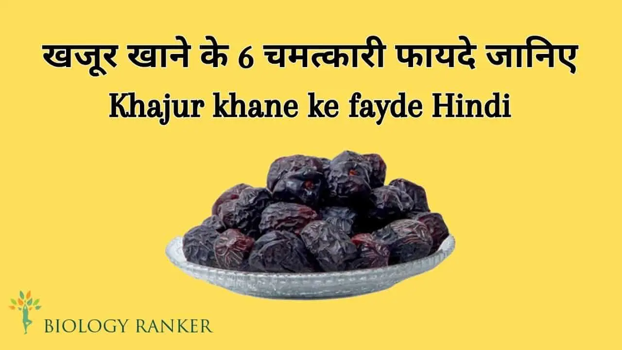 खजूर खाने के 6 चमत्कारी फायदे जानिए (Khajur Khane ke Fayde)