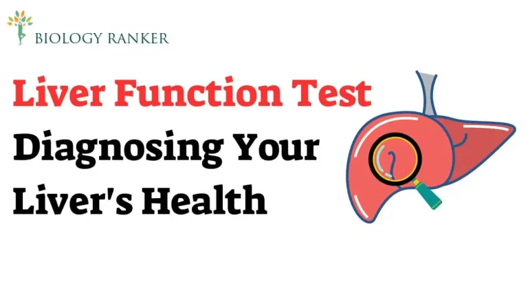 Liver Function Test : Diagnosing Your Liver’s Health