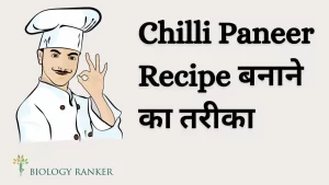 Chilli Paneer Recipe बनाने का तरीका