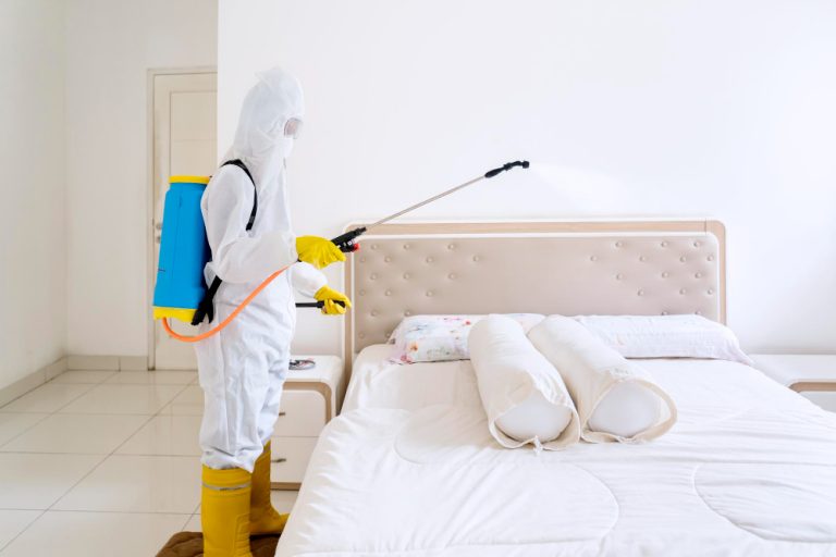 In the Battle Against Bed Bugs, This Australian DIY System Might Be the Smartest Defense Yet