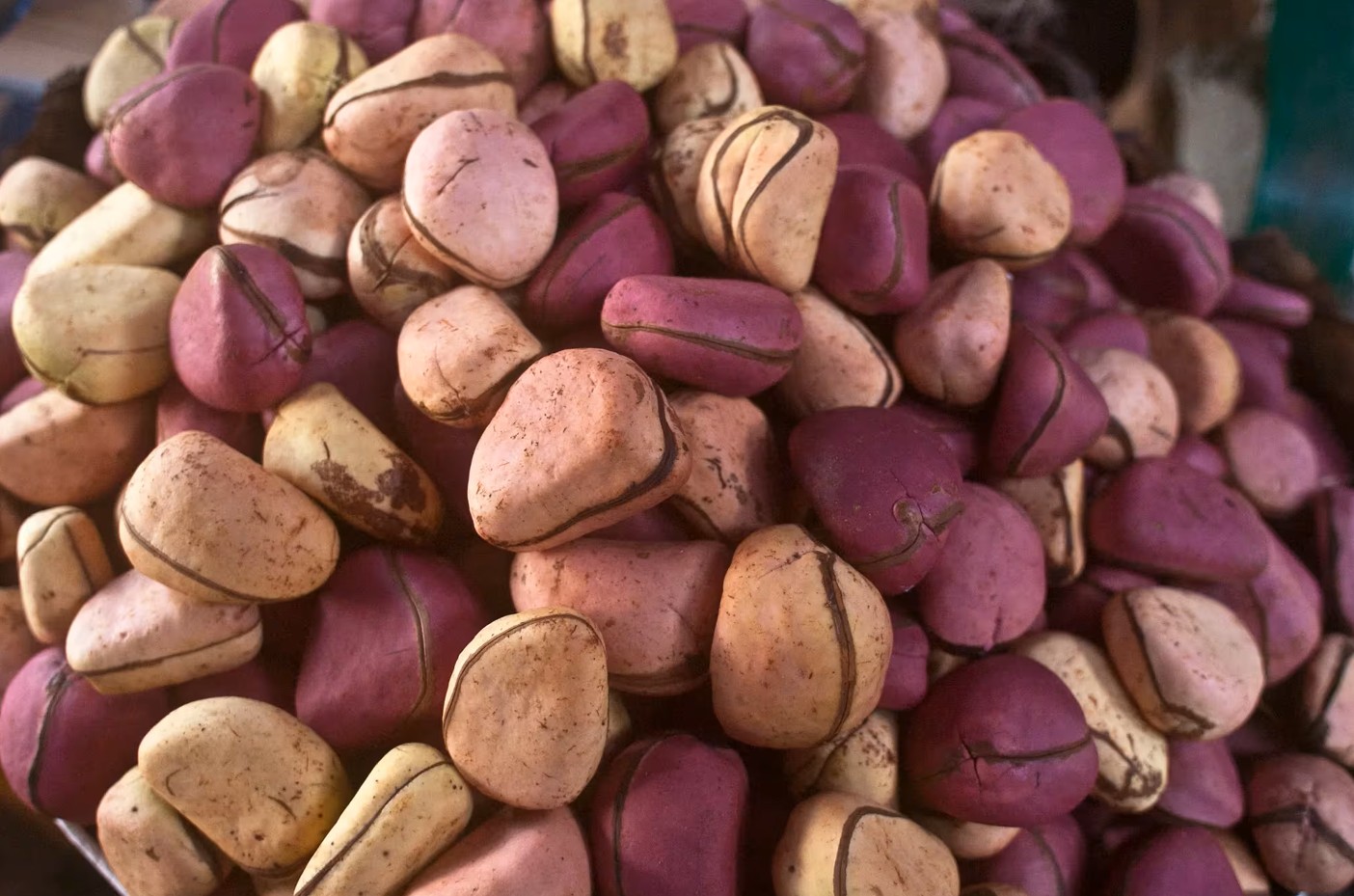 Bitter Kola: Africa's Forgotten Supernut - A Deep Dive into Its Health Benefits and Real-World Use