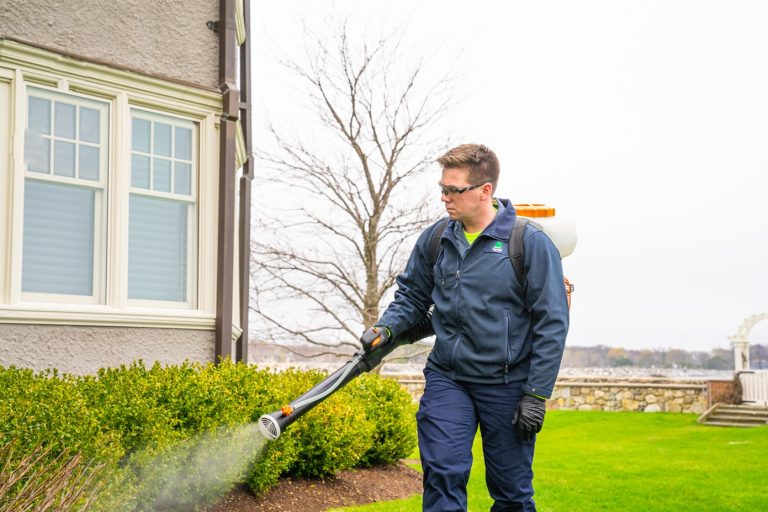 Practical Ways to Lower Tick Exposure in Your Yard