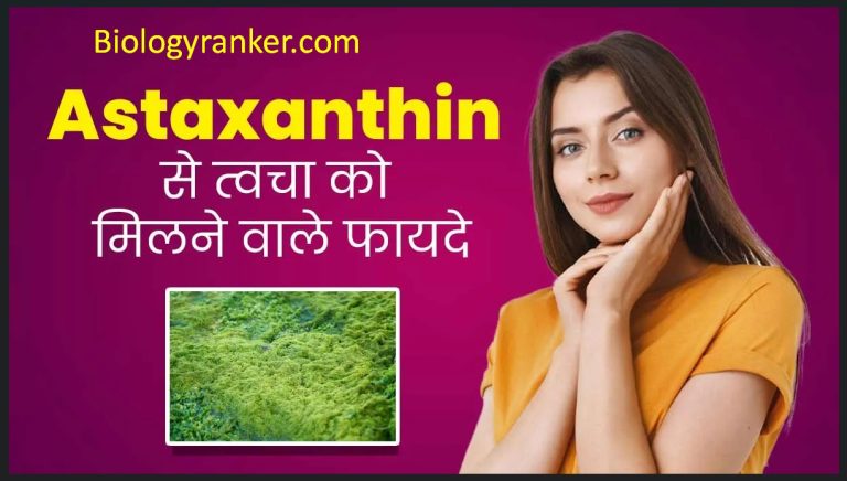 Astaxanthin Uses in Hindi