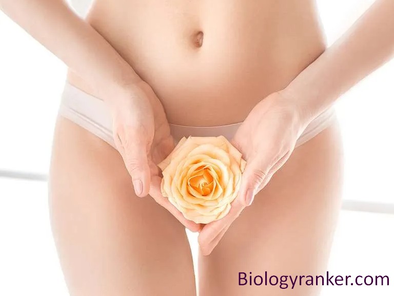 Innie Vagina: Causes, Myths and When to See a Doctor You Need to Know