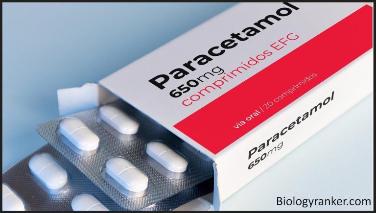 पैरासिटामोल टैबलेट: उपयोग, खुराक, सावधानियां और पूरी जानकारी ! Paracetamol Tablet Uses in Hindi