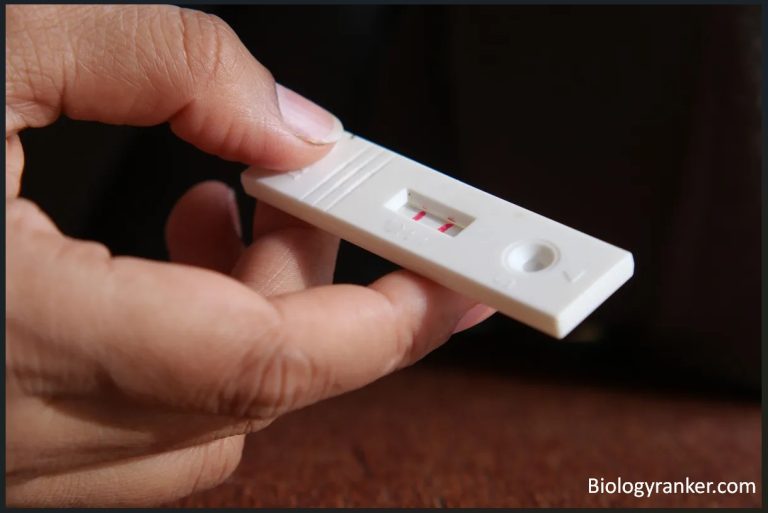 Pregnancy Test Kit