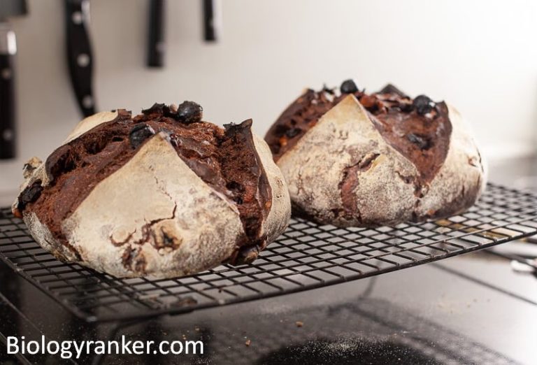 The Ultimate Guide to Chocolate Sourdough Bread Recipe