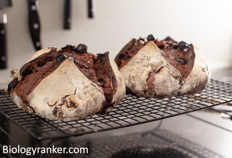 The Ultimate Guide to Chocolate Sourdough Bread Recipe